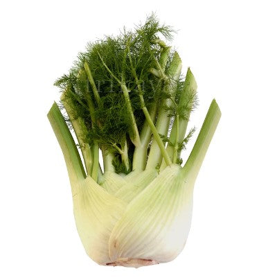 FRESH Fennel, 1Kg (Approx 4 Pcs)