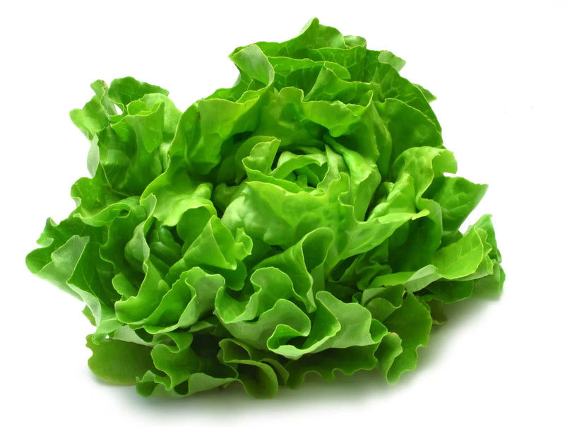 FRESH Lettuce Salad - Summer Asian, 100g