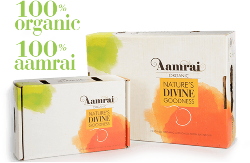 AAMRAI Organic Alphonso Mangoes Legend Box of 9 Pcs