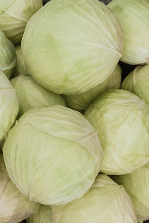 FRESH Cabbages, 600g-800g (1 Pc)