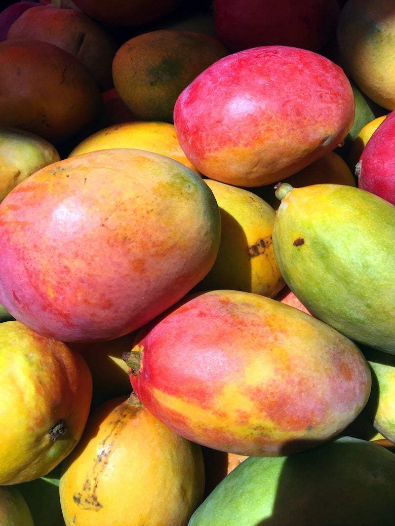 FRESH Round Mangoes, 1Kg (2 to 3 Pcs)