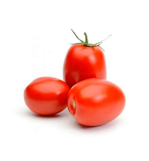 ORGANIC Plum Tomatoes, 500g