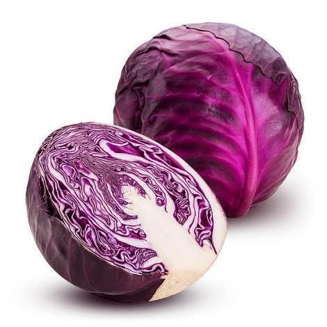 Premium Organic Cabbage Red from India/Lebanon, 1kg