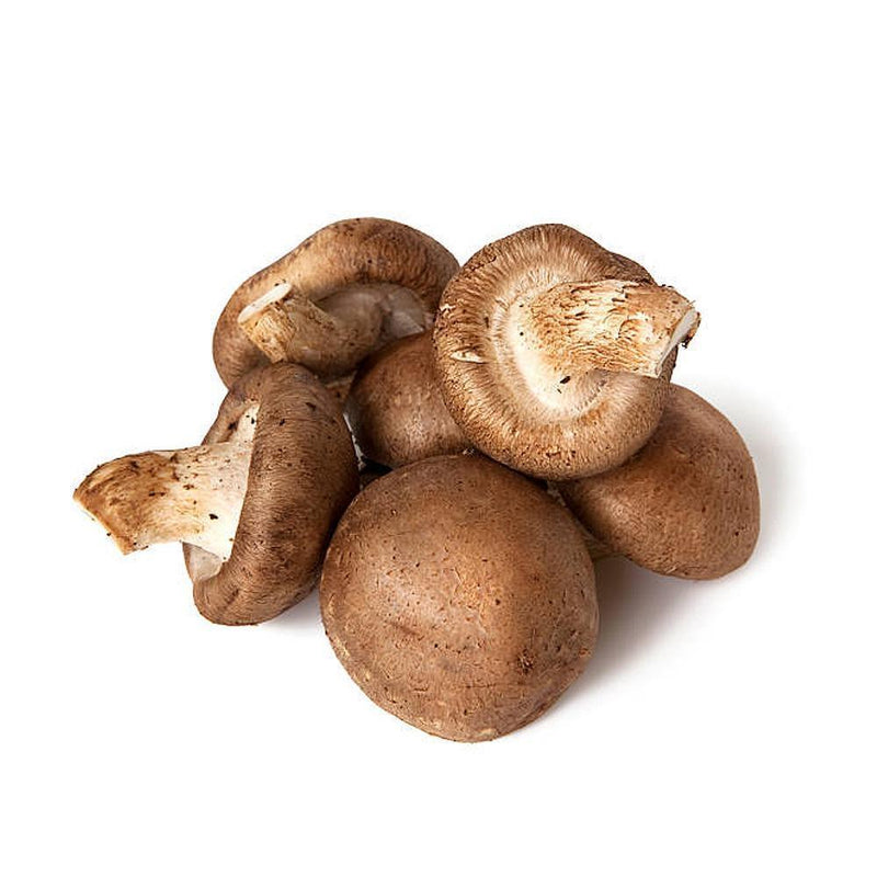 Premium Organic Shiitake Mushroom, Holland, 150g