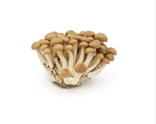 FRESH Shimeji Mushrooms - White, 150g