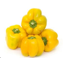 FRESH Yellow Capsicums, 1Kg (4 to 6 Pcs)